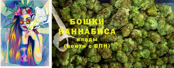дживик Нягань
