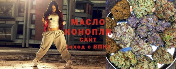 мет Няндома