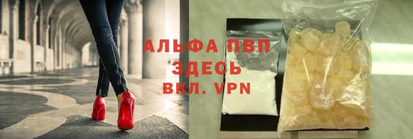 ПСИЛОЦИБИНОВЫЕ ГРИБЫ Новодвинск