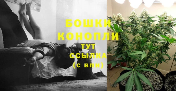 марихуана Новозыбков