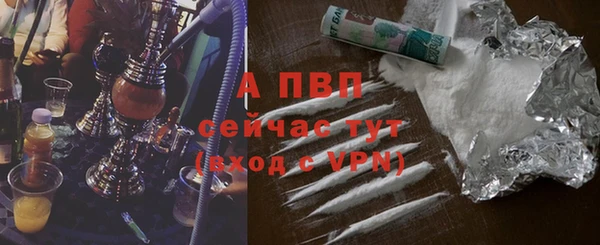 ПСИЛОЦИБИНОВЫЕ ГРИБЫ Новодвинск